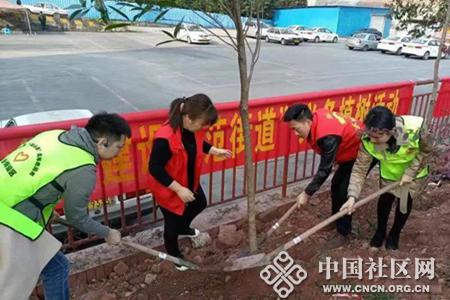 联芳街道总工会开展义务植树活动